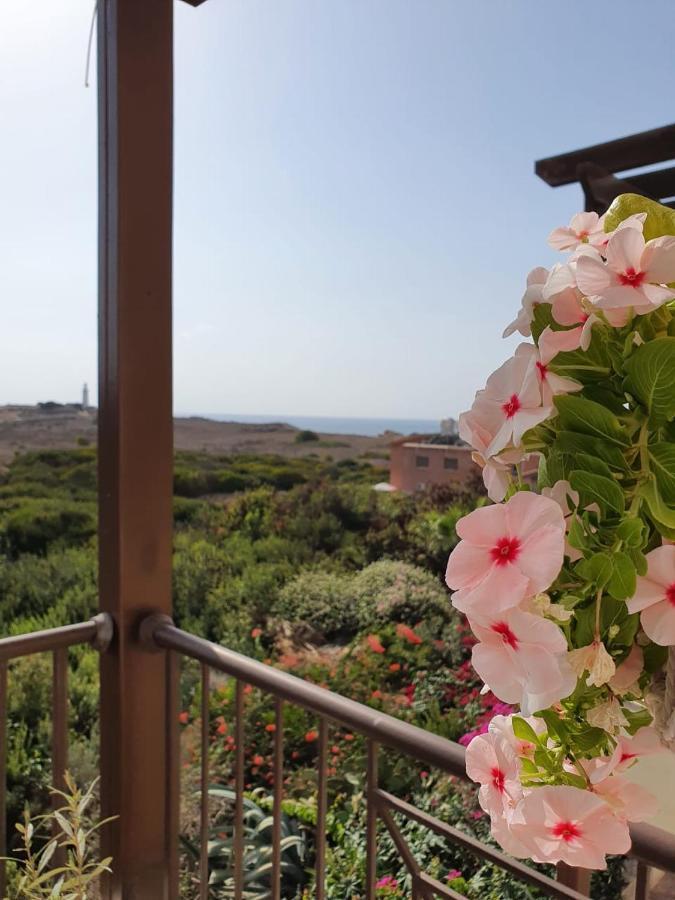 Ancient Paphos - Cozy Place Next To The Sea, Marina, Historical Sites, Buses, Mall, And Market Exterior foto