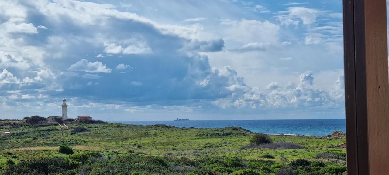 Ancient Paphos - Cozy Place Next To The Sea, Marina, Historical Sites, Buses, Mall, And Market Exterior foto